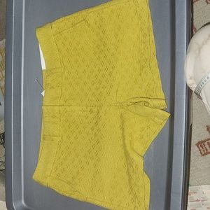 NWT-LOFT Textured with Pockets Women's 4" Shorts Size 8 100% Cotton